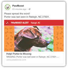 Cuddles united will create a local online ad campaign for your pet. Alert Local People On Facebook About Lost Or Found Pets Pawboost