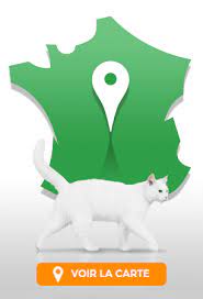 Avis de salariés chez feu vert à propos de la culture d'entreprise, des salaires, des avantages, de j'ai passé deux ans à feu vert en alternance dans la région lyonnaise, c'est une entreprise chaleureuse qui sait accueillir et former ses jeunes. Centre Auto Garage Auto Courrieres Feu Vert