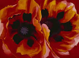 Pin On O Keeffe Flowers