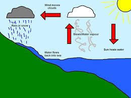 Image Result For Simple Diagram Of The Hydrologic Cycle Water Cycle Explanation Writing Explanation Text