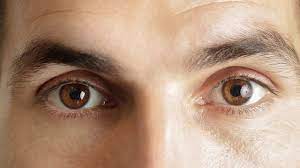 Blickkontakt: Die Augen sagen mehr als tausend Worte - Spektrum der  Wissenschaft