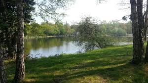 Une centaine de citoyens des communes de la guerche, la chapelle hugon et le chautay s'est déplacée ce soir pour la présentation du dispositif voisin citoyen en présence du corps de gendarmerie de. La Guerche Sur L Aubois Tient A Son Camping