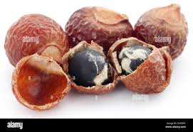 Image result for Sapindus