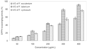 Image result for Lippia somalensis