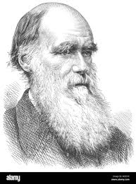 Darwin illustration Black and White Stock Photos & Images