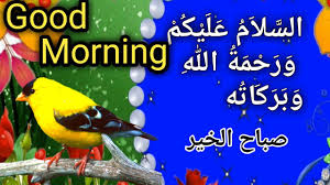 Good Morning Subha Bakhair Good Morning Urdu Shayari Good Morning Video Ecard Youtube It is often unpredictably how much a beautiful image can motivate us, so even if that might not be 100% true on this particular day, do this good act for your friends or colleagues. good morning subha bakhair good