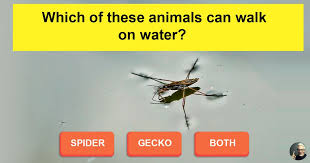 Unbelievable Wonders Of Nature Animals That Quizzclub