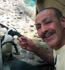 That Fish Blog Expert Authors brought to you by That Fish Place