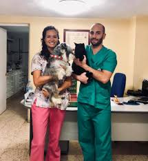 Centro Veterinario El Arenal