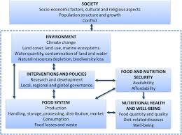 Municipal solid waste (msw) disposal is one of the main issues towards sustainable development in malaysia. Sustainable Food Systems A Health Perspective Springerlink