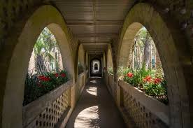 Image result for Atalaya