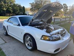 Image result for Oxford White 2003 Escape