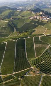 Image result for Vigna