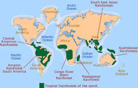 English Exercises Saving Tropical Rainforests