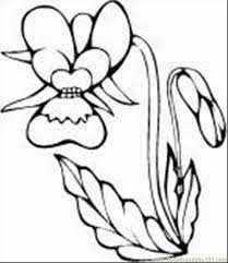 Children will be delighted if you download or print a4 coloring pages for them, which we offer you absolutely free. Orchid Flower Coloring Page For Kids Free Flowers Printable Coloring Pages Online For Kids Coloringpages101 Com Coloring Pages For Kids