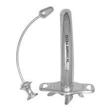 Image result for Trachypogon chevalieri