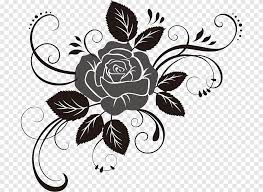 24+ bunga png images for your graphic design, presentations, web design and other projects. Rose Drawing Vine Rose White Leaf Png Pngegg