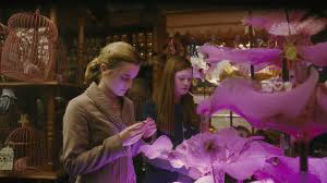 Pygmy puffs resemble little fluffy balls that roll around, squeak and come in various shades of pink and purple. 6 Weasleys Wizard Wheezes Products That Should Definitely Not Be Sold To Children Wizarding World