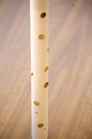 Native 20 chilean cactus rain stick musical instrument rainstick shaker musical. Rain Stick What It Is And How To Make It With Recycled Materials Notes Read
