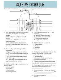 Download free digestive system quiz and answers digestive system quiz and answers getting the books digestive system quiz and answers now is not type of challenging means. Pin On T E A C H