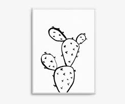 This is not your typical bouquet! Modern Wall Art Prints Posters Olive Et Oriel Prickly Pear Cactus Drawing Free Transparent Png Download Pngkey