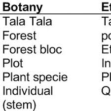 Image result for Angylocalyx vermeulenii