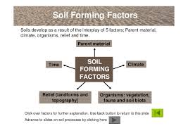Factors of soil formation on ubc campus. Soil Formation Pdf Soil Formation Pedogenesis Factors Process Steps Examples Soil Formation Deals With Qualitative And Quantitative Aspects Of Soil Formation Or Pedogenesis And The Unde Bengkel Mesin