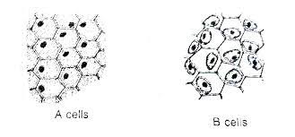 Maybe you would like to learn more about one of these? When Plant Cells Are Kept In A Concentrated Salt Solution They Are