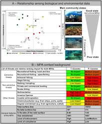 Viral video 20 detik natalie holscher ternyata hoax free mp3 download. Frontiers Light And Shade In Marine Conservation Across European And Contiguous Seas Marine Science