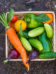 Sunlight is important to the vegetable's development and carrots that do not receive the proper amount of sunlight produce poor crop yields. Growing A Vegetable Garden Might Be Just What You Need During The Coronavirus Crisis Architectural Digest