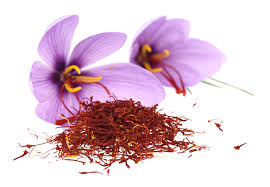 Dünyadaki en pahalı baharat bitkisidir. Gatinais Saffron And Specialties Safran Du Gatinais Par Safranor