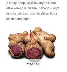 Kesihatan reproduktif lelaki selalunya dikaitkan dengan kesuburan lelaki dalam menghasilkan anak atau zuriat. Lelaki Yg Gagah Perlukan Dr 4 Kunyit Hitam Malaysia Facebook