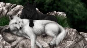Wolf's rain (urufuzu rein, ウルフズ・レイン) is a japanese anime series created by writer keiko nobumoto and produced by studio bones inc. Anime White Wolf Wallpaper