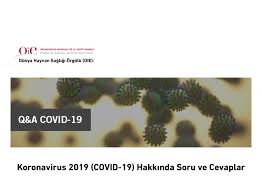 Koronavirus 2019 Covid 19 Hakkinda Soru Ve Cevaplar Turk Veteriner Hekimleri Birligi