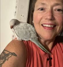 Hi all! I just wanted to introduce myself and share a photo I took. Jewel.