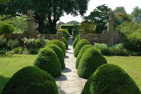 Tintinhull Somerset Originally Designed By Phyllis Reiss And Then The Garden Designer Penelope Hobho Garden Landscape Design Beautiful Gardens Garden Design