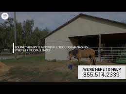 Is therapeutic horseback riding covered by insurance? Equine Therapy In Addiction Treatment The Recovery Village Drug And Alcohol Rehab