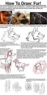 I am slowly working my way up to creating artwork that i think is good enough to live on. Furry Tutorial Explore Tumblr Posts And Blogs Tumgir