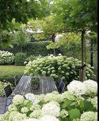 Pin Von Janinka Auf Zahrada In 2020 Hortensien Garten Garten Garten Landschaftsbau