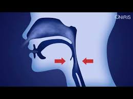 Oniris Horlama Ve Uyku Apnesi Protezi Tanitim Video Izle 550 00 Tl Ile N11 Com Da Diger Horlama Onleyici Fiyati Ve Ozellikleri S Horlama Uyku Apnesi Uyku