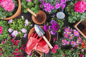 We offer plant food, gloves, tools and other garden essentials. 23 Best Online Garden Accessories Best Garden Tools On Amazon