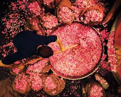 Pin On Pink