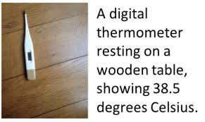 图像Caption-看图说话