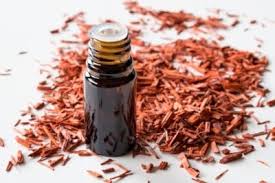 l huile essentielle de bois de santal et ses proprietes magiques planet bio