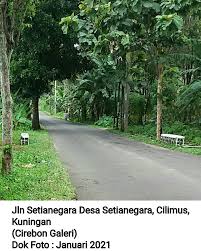 Hutan desa setianegara / konservasi lingkungan di indonesia jadi referensi negara g. Cirebon Galeri Cirebon Galeri Twitter