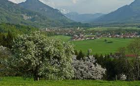 Find cheap and/or discounted hotel rates in or near nussdorf am inn, germany for your business or personal leisure travel. Nussdorf Am Inn