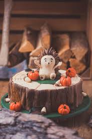 Fondant kuchen werden bei arbeitsunterbrechungen immer im kühlraum aufbewahrt. Tutorial Motivtorte Igel Im Herbst Jetzt Selbst Gestalten Mann Backt