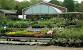 Tree Nurseries Near Me