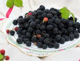 Resultado de imagen de moras