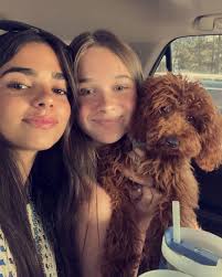 Tiffany Dollar Moeinpour (@tiffmoeinpour) • Instagram photos and videos